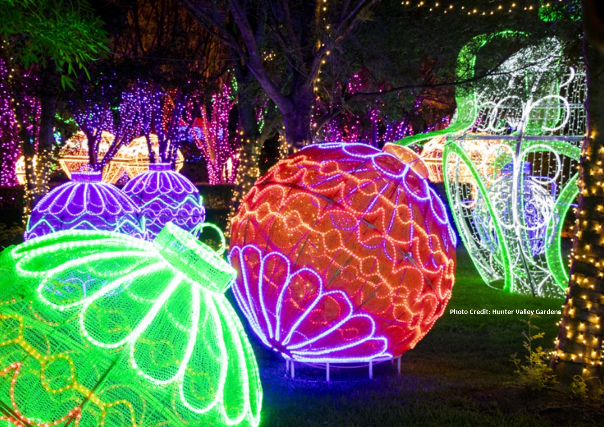 Express Your Interest Overnight Trip to Hunter Valley 11th & 12th